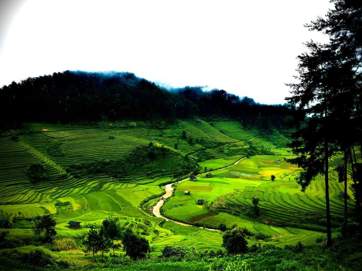 Do Gu Homestay Mu Cang Chai Экстерьер фото
