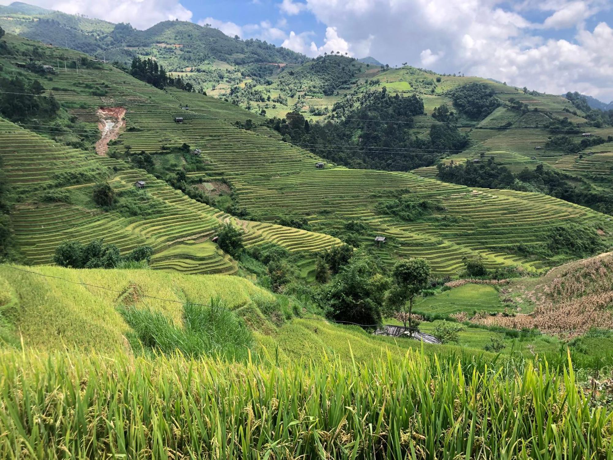 Do Gu Homestay Mu Cang Chai Экстерьер фото