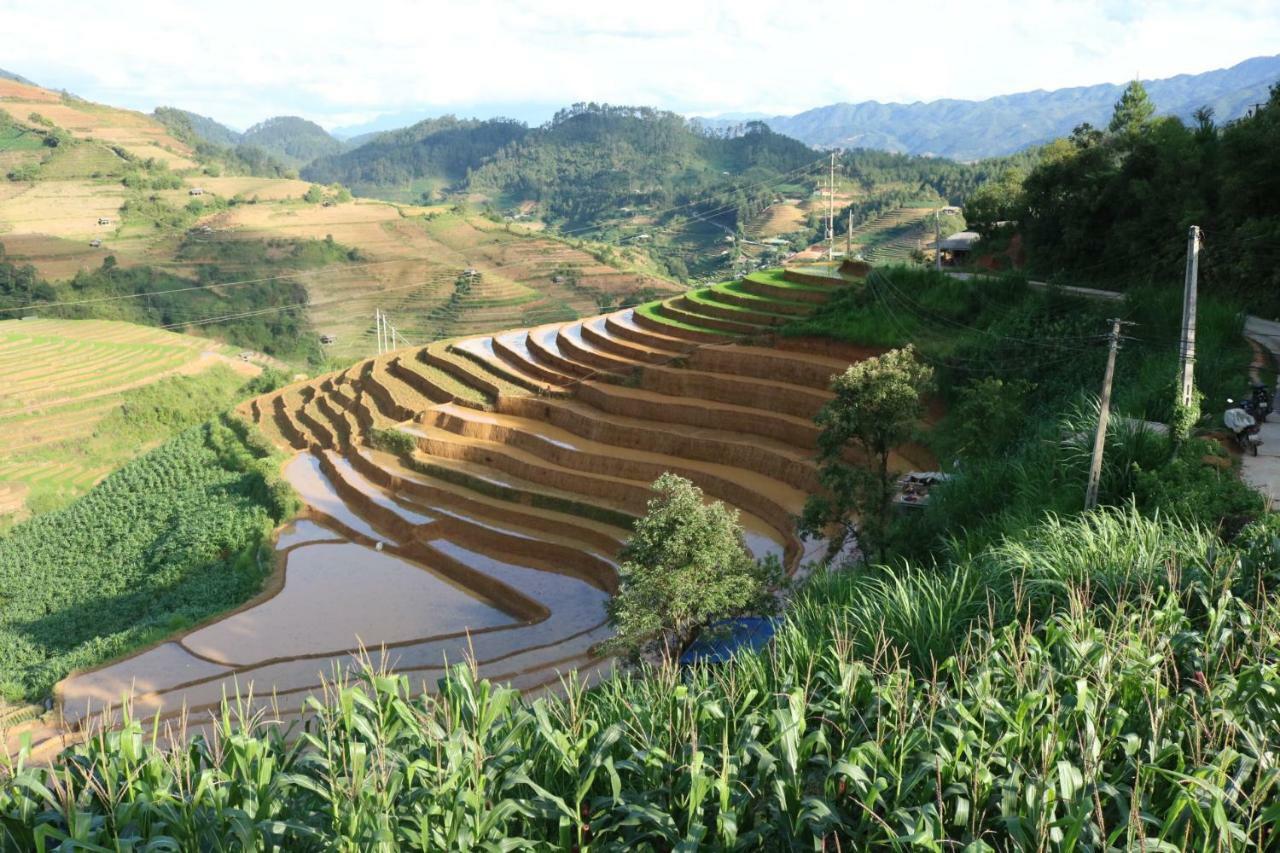 Do Gu Homestay Mu Cang Chai Экстерьер фото