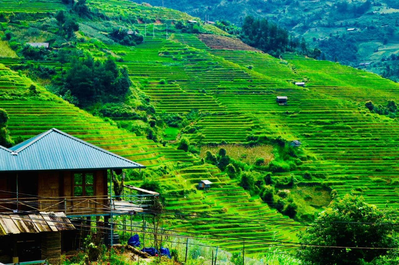 Do Gu Homestay Mu Cang Chai Экстерьер фото